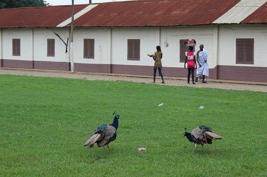 Manhiya Palace Museum